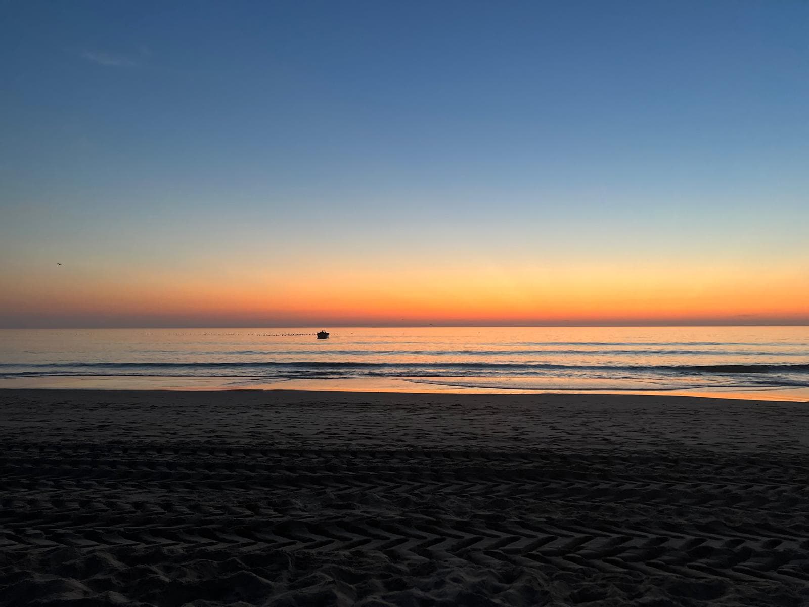 Comércio local de peixe